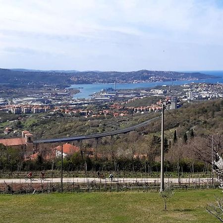 Bellavista Trieste San Dorligo della Valle Exterior photo