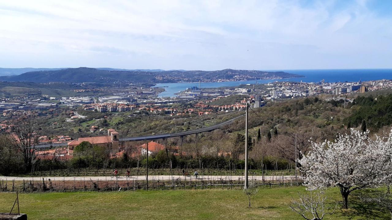 Bellavista Trieste San Dorligo della Valle Exterior photo